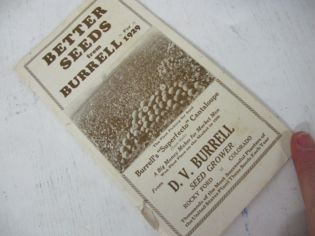 Antique Seed Catalog Burrell Better Seeds 1929 D W Burrell Etsy