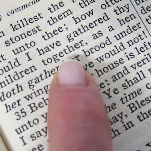 Large Print Bible New Testament Holy Bible English King James Latter Day Saints