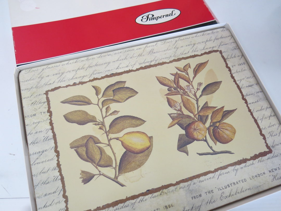 Cork Placemats Pimpernel Lemons Placemats Set of 3 in Box Etsy