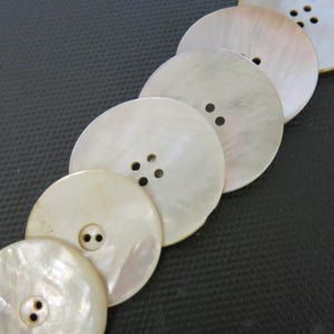 May include: A set of six white mother-of-pearl buttons with different numbers of holes. The buttons are arranged in a row, with the largest button at the top and the smallest button at the bottom.