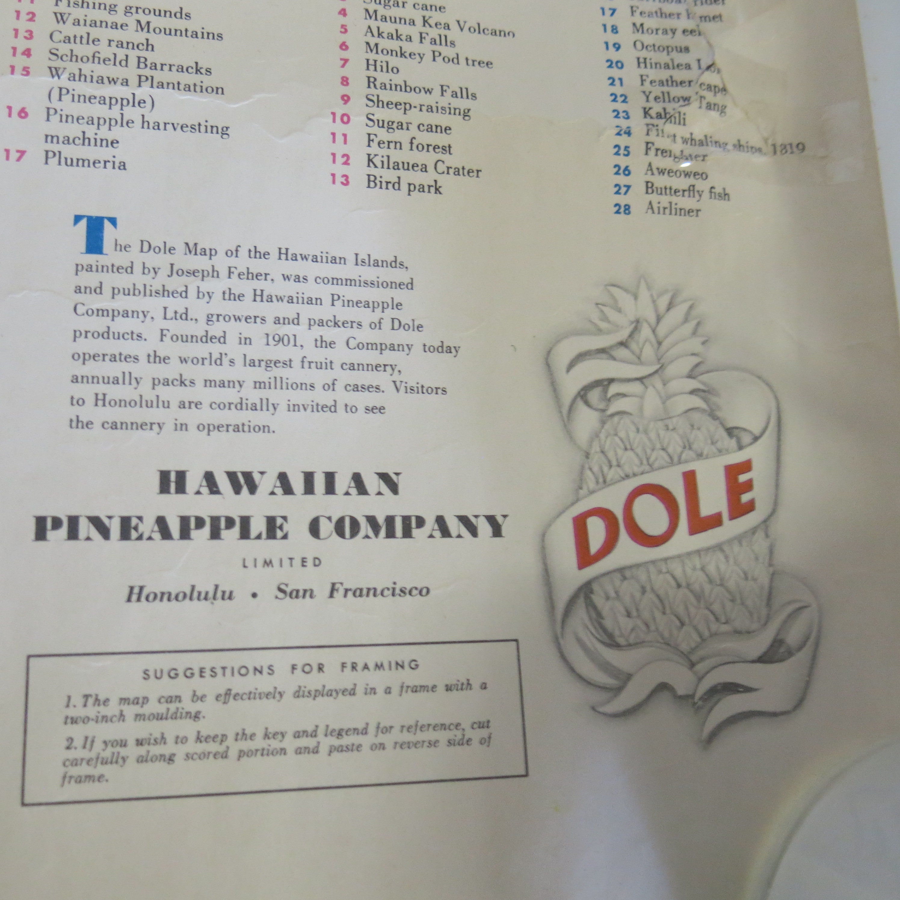 Original Vintage Travel Poster DOLE Map of Hawaiian Islands