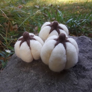 May include: Three small, round, needle-felted pumpkins made of soft white wool fiber. Each pumpkin features a dark brown felted stem and distinct vertical ridges radiating from the center, creating a textured, rounded shape for each piece.