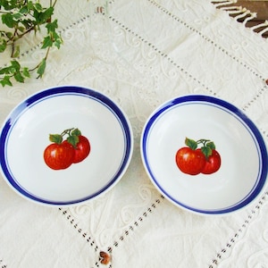 Set of two vintage 1970s porcelain soup plates. Dishes with blue rim and red apples image 1