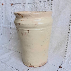 May include: A white ceramic planter with a slightly distressed finish. The planter has a rounded base and a wide, open top.