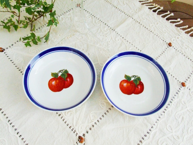 Set of two vintage 1970s porcelain soup plates. Dishes with blue rim and red apples image 1