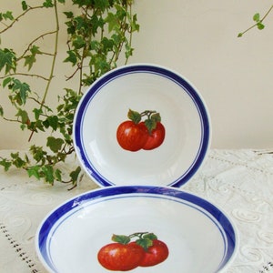 Set of two vintage 1970s porcelain soup plates. Dishes with blue rim and red apples image 2