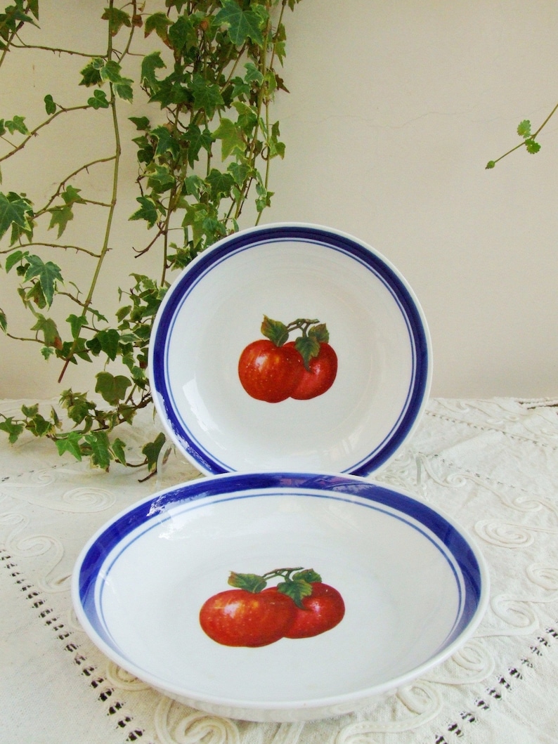 Set of two vintage 1970s porcelain soup plates. Dishes with blue rim and red apples image 2