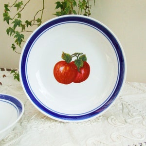 Set of two vintage 1970s porcelain soup plates. Dishes with blue rim and red apples image 5