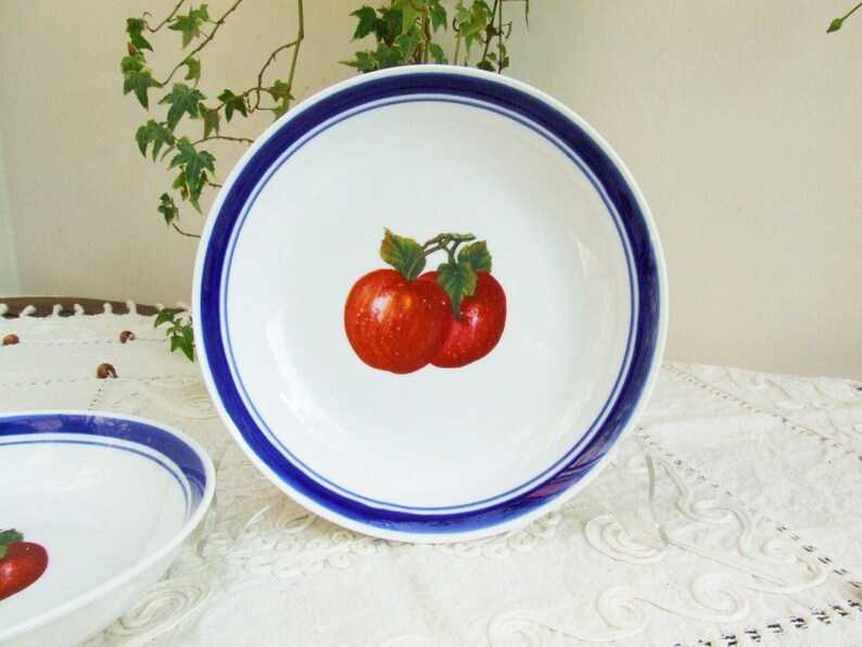 Set of two vintage 1970s porcelain soup plates. Dishes with blue rim and red apples image 5