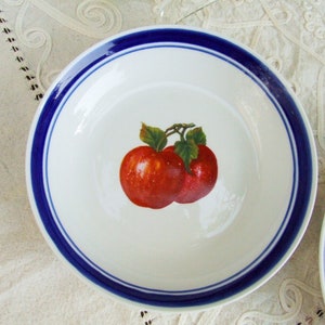 Set of two vintage 1970s porcelain soup plates. Dishes with blue rim and red apples image 3