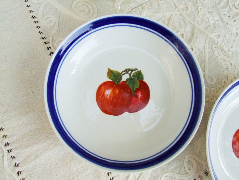 Set of two vintage 1970s porcelain soup plates. Dishes with blue rim and red apples image 3