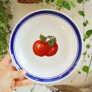 Set of two vintage 1970s porcelain soup plates. Dishes with blue rim and red apples image 4