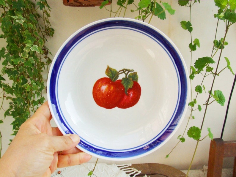 Set of two vintage 1970s porcelain soup plates. Dishes with blue rim and red apples image 4