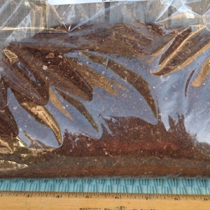 May include: A clear plastic bag filled with dark brown potting soil. The bag is sitting on a blue and white patterned surface with a wooden ruler underneath.