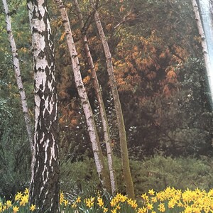 Sunset Western Garden Book Enciclopedia completa de plantas | Etsy