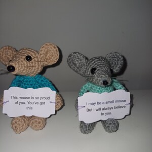 May include: Two crocheted mouse toys holding signs with encouraging messages. The brown mouse says "This mouse is so proud of you. You've got this." The grey mouse says "I may be a small mouse but I will always believe in you."