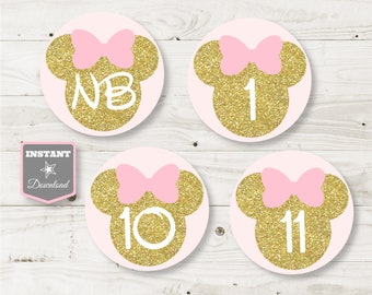 INSTANT DOWNLOAD Printable Glitter Pink Mouse 12 Month Photo Banner Spacer / 1st One Birthday/ Glitter Mouse Collection / Item #2010