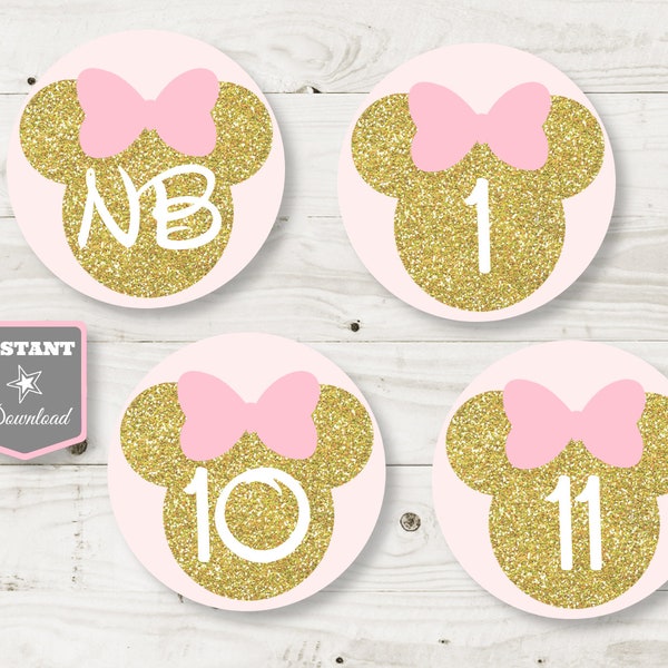 INSTANT DOWNLOAD Printable Glitter Pink Mouse 12 Month Photo Banner Spacer / 1st One Birthday/ Glitter Mouse Collection / Item #2010