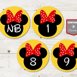 INSTANT DOWNLOAD Red Girl Mouse Printable 12 Month Photo Banner Spacers / 1st First One Birthday/ Red Girl Mouse Collection / Item #1929