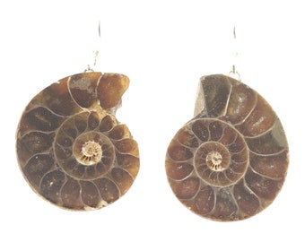 Ammonite Shepard's Hook Earrings