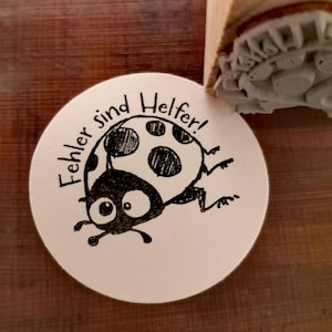 Könnte beinhalten: Ein weißer runder Aufkleber mit einer schwarz-weißen Comic-Marienkäfer mit dem Text "Fehler sind Helfer!" in Schwarz.