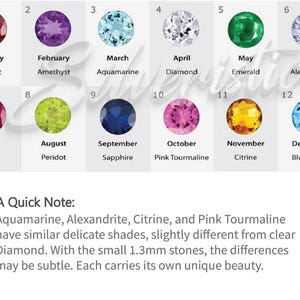 May include: A chart showing the birthstones for each month of the year. The chart is divided into 12 sections, each with a gemstone and the corresponding month and name. The chart also includes a note that Aquamarine, Alexandrite, Citrine, and Pink Tourmaline have similar delicate shades, slightly different from clear Diamond. With the small 1.3mm stones, the differences may be subtle. Each carries its own unique beauty.