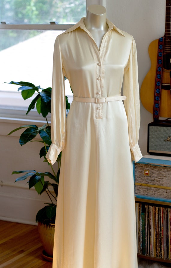 1970s Vintage Ellen Tracy Full-Length Dress - Pal… - image 1