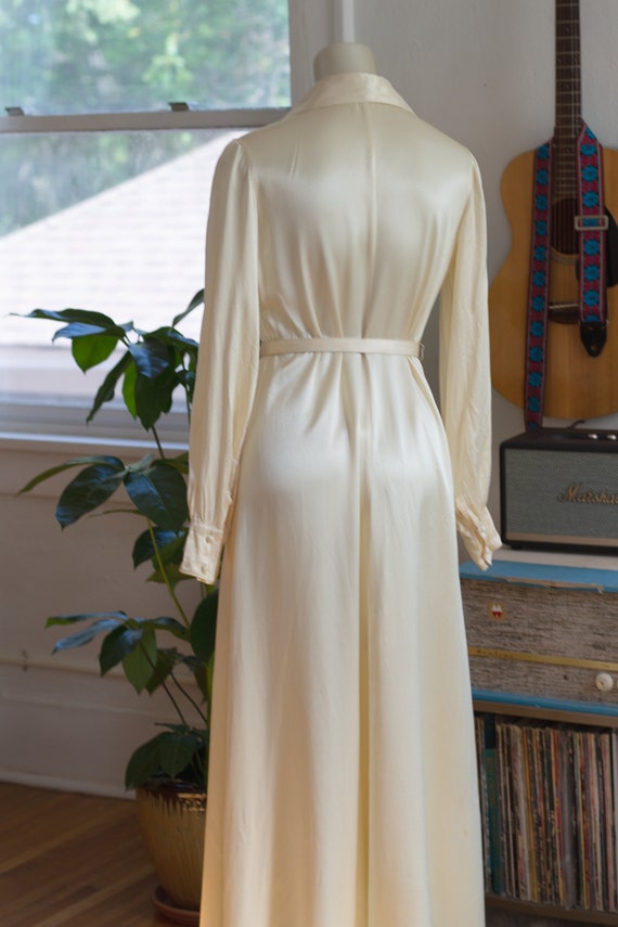 1970s Vintage Ellen Tracy Full-Length Dress - Pal… - image 2