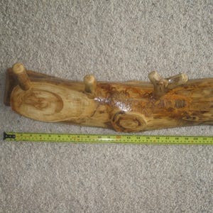 Aspen Log Clothes Rack
