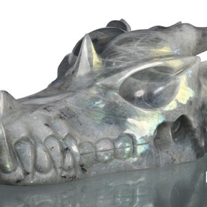 10.16" 3697g Huge! Labradorite Handmade Dragon Skull Sculpture, Dragon Head Figurine,Healing Crystal Skull Collectible, #36S65, Joancarving