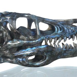 Enorme! Scultura in labradorite naturale da 10,04&quot; e 1365 g, teschio di T-Rex intagliato a mano, statuetta da collezione di teschio di cristallo di dinosauro, n. 35P21, Joancarving