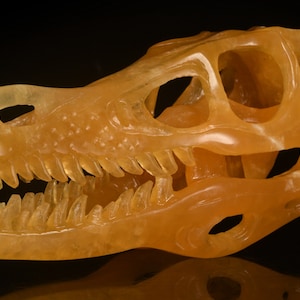 Scultura di teschio di T-Rex in calcite arancione naturale da 4,92&quot; e 168 g, intagliata a mano, statuina di teschio di dinosauro, oggetti da collezione, teschio di cristallo, n. 35G39, Joancarving
