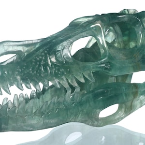 Enorme! Scultura di teschio di T-Rex in fluorite verde naturale da 10&quot; e 1577 g, teschio di cristallo di dinosauro da collezione, #35P19, Joancarving