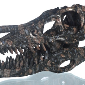Scultura del teschio di T-Rex in Llanite: statuetta di dinosauro in cristallo intagliata a mano