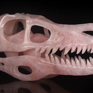 Enorme! Scultura di teschio di T-Rex in quarzo rosa naturale da 9,84&quot; e 1259 g, intagliata a mano, statuetta di teschio di dinosauro, n. 35P75, Joancarving