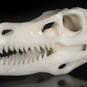 Enorme! Scultura in giada bianca naturale da 10,04&quot; e 1490 g, teschio di T-Rex intagliato a mano, statuetta da collezione di teschio di cristallo di dinosauro, n. 35P74, Joancarving