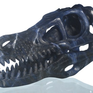 Statuetta di teschio di T-Rex in sodalite naturale da 5,12&quot; e 148 g, intagliata a mano, scultura di teschio di cristallo di dinosauro, da collezione, curativa, n. 35M49, Joancarving