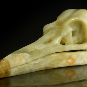 4.92&quot; 100g Natural Xiuyan Jade Handmade Raven Skull Head Statues,Bird Skull,Crystal Skull,Crow Skull, Home Decor, #35G11, Joancarving