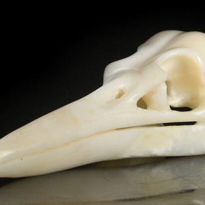 4.88&quot; 112g Natural Tridacna Handmade Raven Skull Head Statues,Bird Skull,Hollow Crystal Skull,Crow Skull, Healing, #35G08, Joancarving