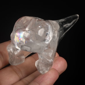 5.04&quot; 103g Rainbows! Clear Quartz Crystal Handmade Raven Skull Head Statues,Bird Skull,Hollow Crystal Skull,Crow Skull, #34X44, Joancarving