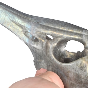 4.88&quot; 97g Natural Labradorite Handmade Raven Skull Head Statues,Bird Skull,Hollow Crystal Skull,Crow Skull, Healing, #35G28, Joancarving