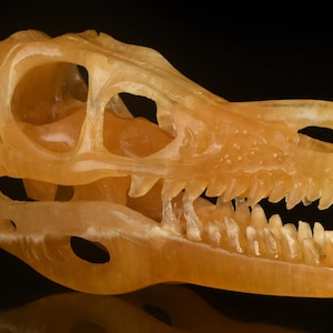 Scultura di teschio di T-Rex in calcite arancione naturale da 5&quot; e 142 g, intagliata a mano, statuetta di teschio di dinosauro, oggetti da collezione, teschio di cristallo, n. 35G37, Joancarving