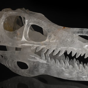 Enorme! 9,96&quot; 1218g Cristallo di quarzo trasparente ematoide Scultura teschio T-Rex intagliato a mano, statuina teschio di cristallo di dinosauro, #35P73, Joancarving