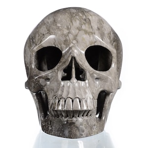 Life Size! 7.8&quot; 2590g Deeply Hollowed Top Realistic Coral Fossil Carved Human Skull Sculpture, Crystal Skull Figurine, #28X97, Joancarving