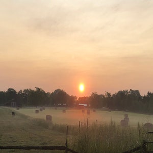 Misty Sunrise 4
