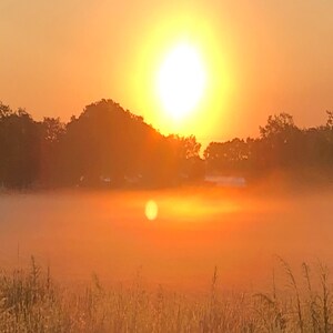 Misty Sunrise