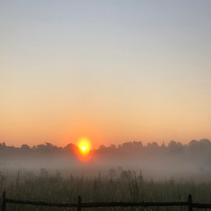 Misty Sunrise 2