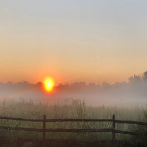 Misty Sunrise 3
