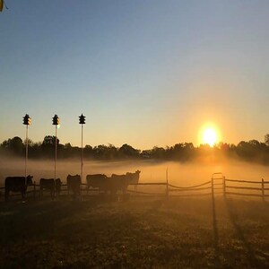 De Zonsopgang van de boerderij