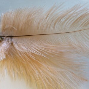May include: A hair clip featuring a long, soft, pale peach-colored ostrich feather attached to a silver-toned metal alligator clip base. The feather has a thin, dark central quill and delicate, wispy barbs extending outward in a plume shape.